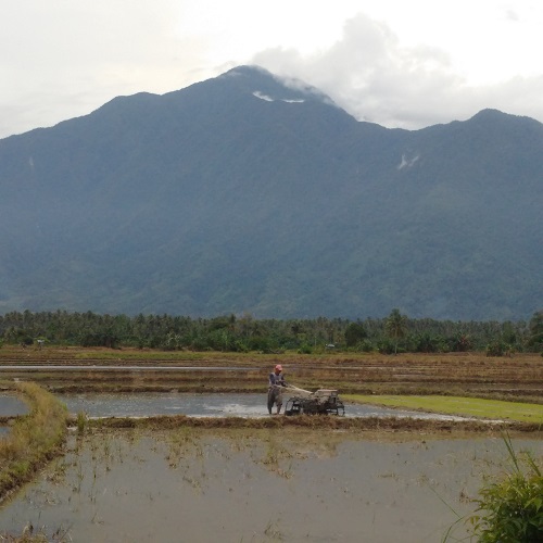 Photo of the Week: Indonesia